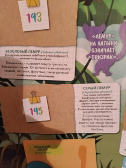 Альбом для коллекционирования наклеек "Зоопланета 2020" (8018190009323)