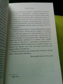 Серен Кьеркегор: Беседы и размышления