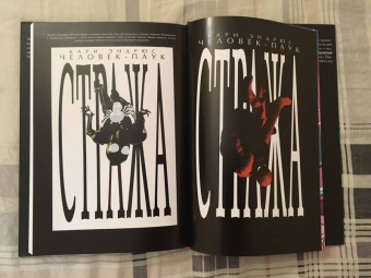 Кари Эндрюс: Человек-Паук. Стража