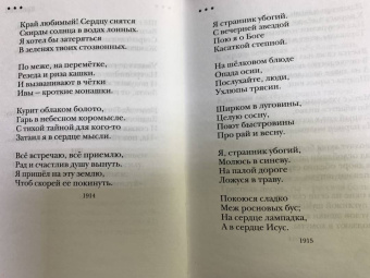 Сергей Есенин: Не жалею, не зову, не плачу...