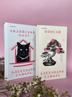 Алехандро Самбра: Чилийский поэт