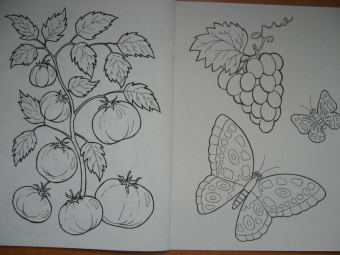 Что растет в саду