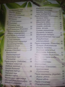 Людмила Соколова: Хочу знать. Пауки