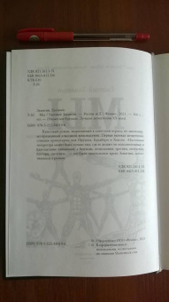 Евгений Замятин: Мы