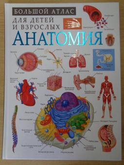 Анна Спектор: Анатомия