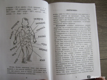 Борис Сергеев: Как устроен человек