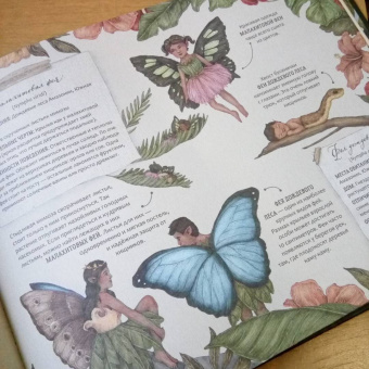 Секретная жизнь фей