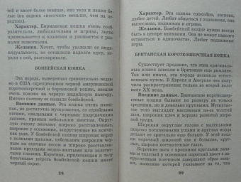 Мария Солодова: Чего хочет ваша кошка