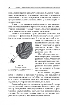 Шаламова, Крупина, Миникаев: Цветоводство. Практикум. Учебное пособие