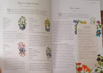 Клэр Гудчайлд: Antique Anatomy Tarot. Таро античной анатомии