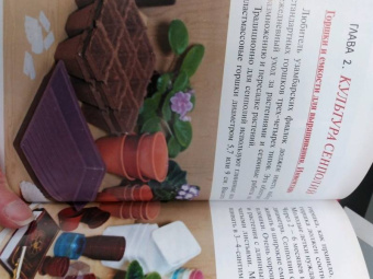 Надежда Ширяева: Узамбарские фиалки