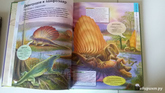 Франциско Арредондо: Динозавры. Большая детская энциклопедия