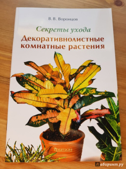 Валентин Воронцов: Секреты ухода. Декоративнолистные комнатные растений