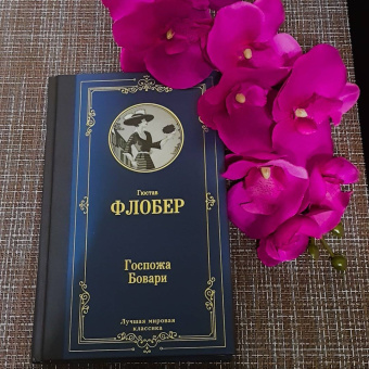 Гюстав Флобер: Госпожа Бовари