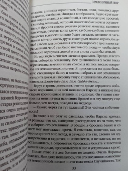 Джоанн Харрис: Земляничный вор