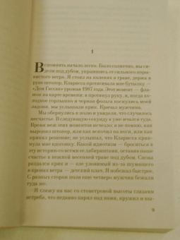 Иэн Макьюэн: Невыносимая любовь