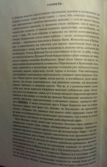 Уильям Гэсс: Тоннель