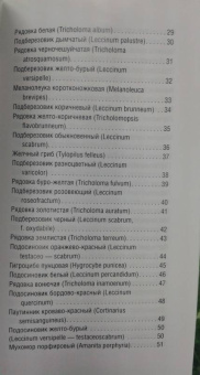 Матанцева, Матанцев: Грибы. Карманный справочник-определитель. Самые распространенные грибы и их двойники