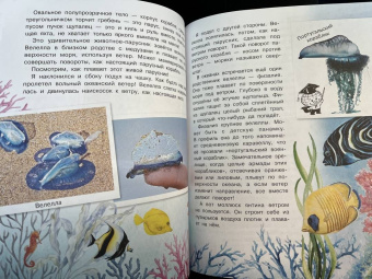 Александр Тамбиев: Как увидеть морское дно?