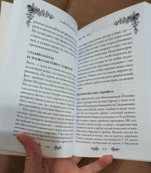 Микки Мюллер: Голоса деревьев. Кельтский оракул (25 карт)