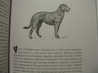 Элизабет Томас: Собаки и тайны, которые они скрывают. Легендарный бестселлер о сознании, поведении и привычках