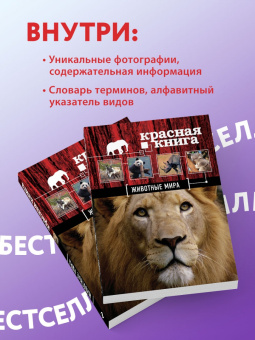Скалдина, Слиж: Красная книга. Животные мира