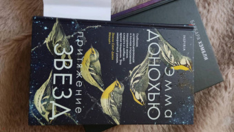 Эмма Донохью: Притяжение звезд