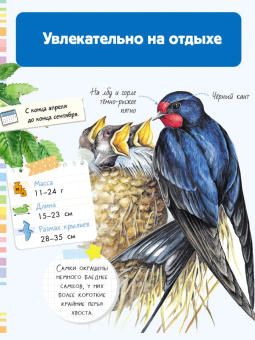 Мария Рахчеева: Птицы