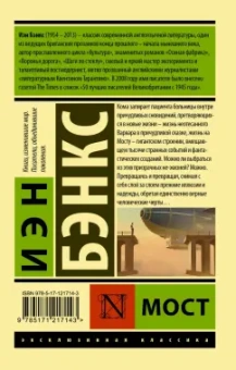 Иэн Бэнкс: Мост