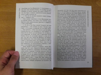 Даниэла Стил: Прекрасная незнакомка