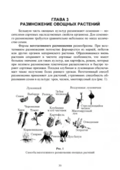 Адрицкая, Улимбашев: Овощеводство. Учебник для СПО