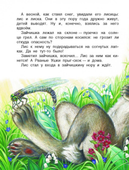 Николай Сладков: Сказки лесной опушки