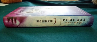 Татьяна Тронина: Снежный сон
