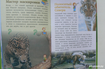Дмитрий Кошевар: Животные