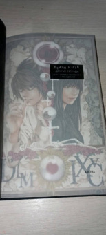 Исин Нисио: Death Note. Другая тетрадь. Дело о серийных убийствах B.B. в Лос-Анджелесе