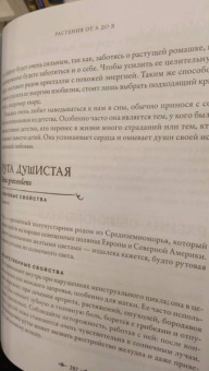 Джульетта Диас: Магия растений:  откройте для себя магию, священный язык 200 растений