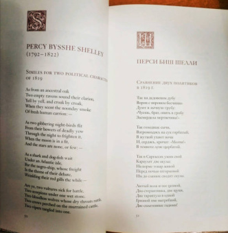 Мур, Шелли, Лонгфелло: Леда и лебедь. Английские, американские и ирландские поэты в переводах Романа Дубровкина