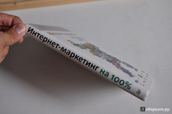 Андросов, Ворошилова, Долгов: Интернет-маркетинг на 100%