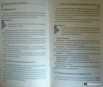 Юрий Седов: Чтобы куры неслись круглый год