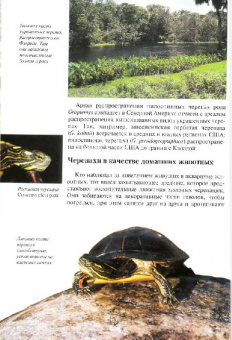 Райнер Прашага: Красноухие черепахи. Содержание и уход