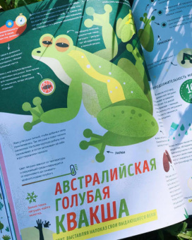 Пинтос, Ианнуззи: Как спит пчела? Удивительные факты о животных и их суперспособностях