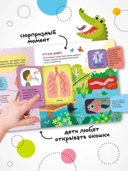 Мозалева Ольга: Книжки с окошками. Тело человека
