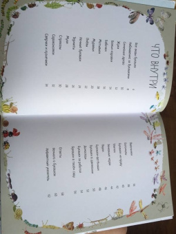 Зоммер, Тейлор: Большая книга букашек