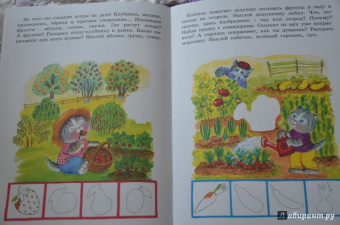 Мечтаем о лете. Наклейки для умных котят. 3-4 года