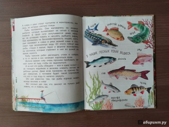 Николай Сладков: Лесные сказки