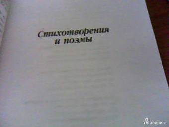 Ольга Берггольц: Память
