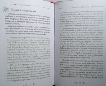Сьюзен Пешнекер: Йоль. Ритуалы, рецепты и обряды в день зимнего солнцестояния