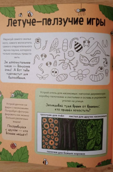 Noodle Fuel: Насекомые и не только. От шмелей до навозных жуков. Все ползуче-летучие факты, рекорды и достижения
