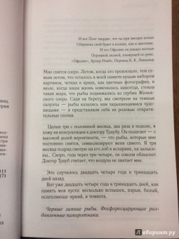 Моника Саболо: Саммер