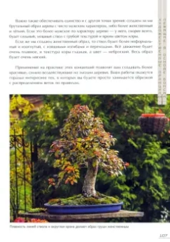 Андрей Дарусенков: Бонсай. Маленькие деревья для большой радости